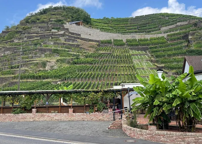 Hotel Winzerschenke Bad Neuenahr-Ahrweiler